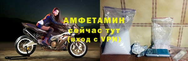 молекула духа Бородино