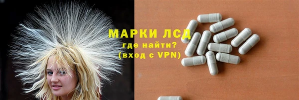 гидра Бронницы