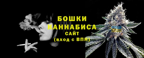 молекула духа Бородино