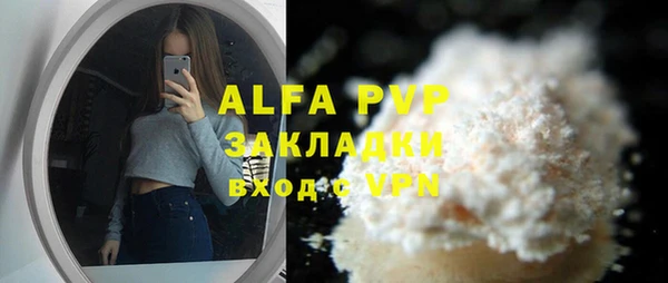 молекула духа Бородино