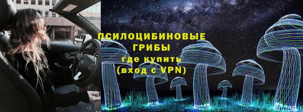 молекула духа Бородино