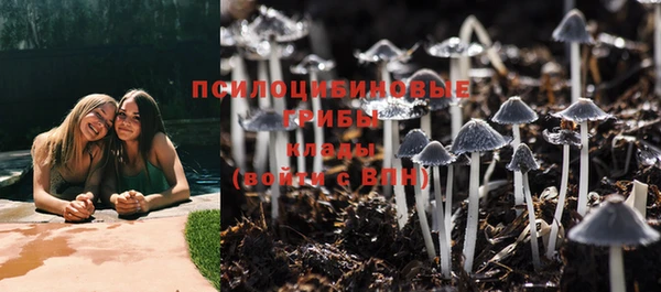 гидра Бронницы