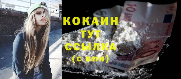 гидра Бронницы