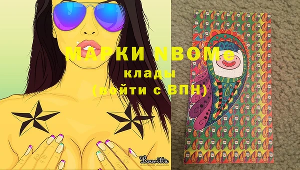 гидра Бронницы