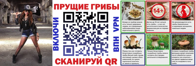 магазин    Кимовск  Галлюциногенные грибы MAGIC MUSHROOMS 